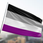 asexuality flag