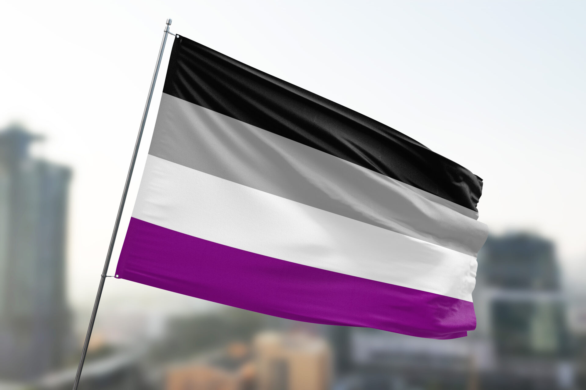 asexuality flag
